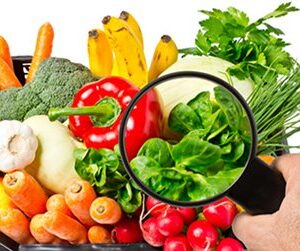 6 Factores claves en la Inocuidad Alimentaria